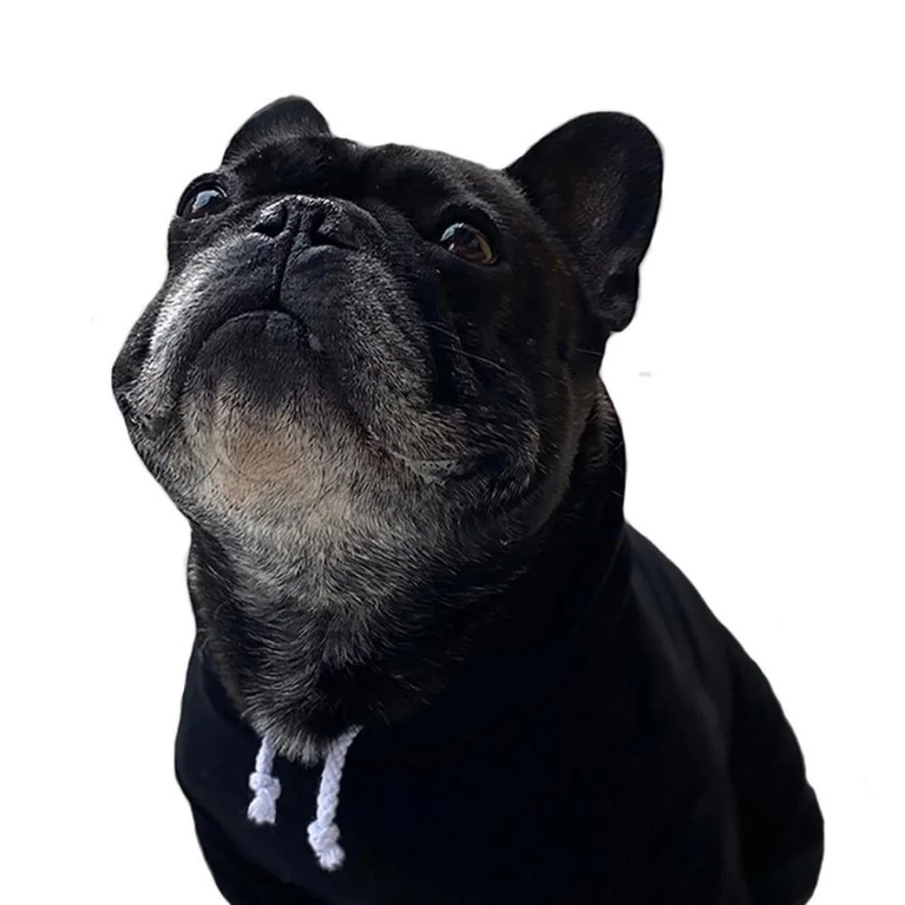 HOUSE DOGGE LOVED D.O.G. HOODIE HOST PICK NEW